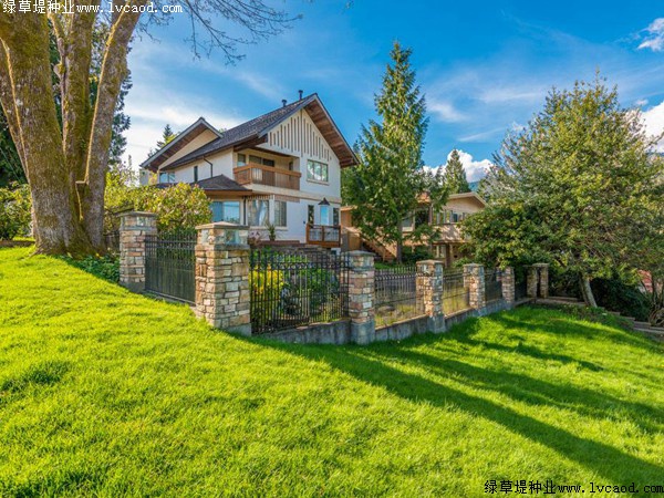 別墅綠化草坪,草籽品種 別墅綠化草坪,草籽品種