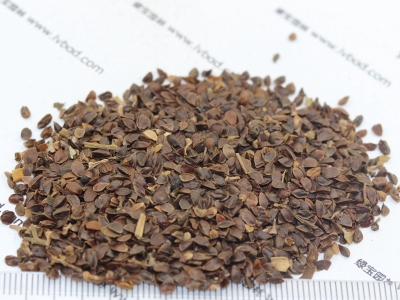 室外栽培假龍頭播種后需要多久會(huì)開(kāi)花？