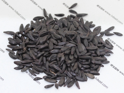 多頭向日葵種子的市場(chǎng)價(jià)格是多少？