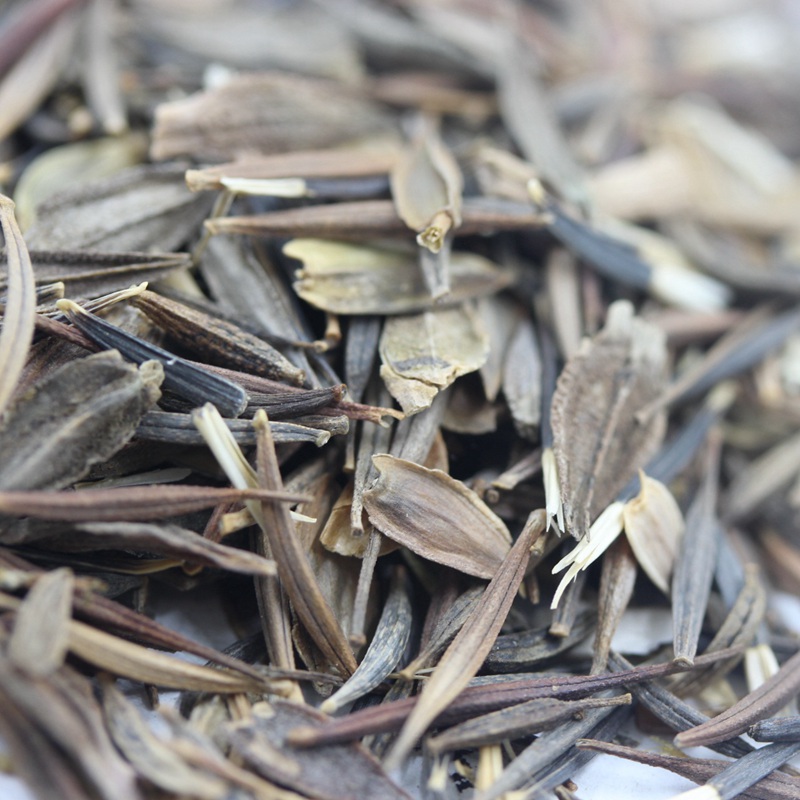 野花組合 野花組合