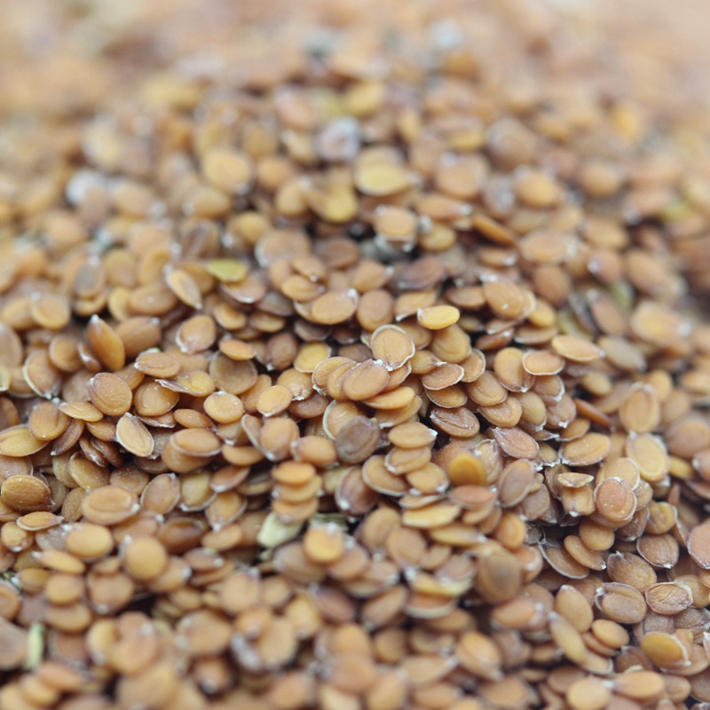 香雪球種子 香雪球種子