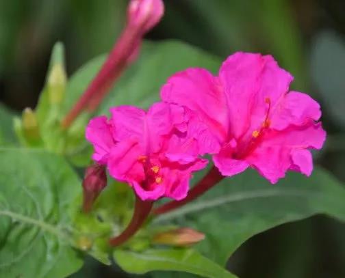 1589870220688896.jpg 微信圖片_20200519143212.jpg