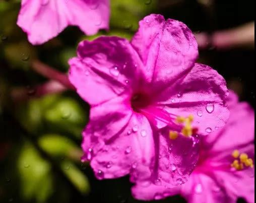 1589870226269888.jpg 微信圖片_20200519143208.jpg