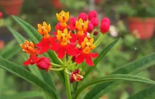 1590045792859985.jpg 微信圖片_20200521152245.jpg