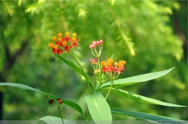 1590045812771104.jpg 微信圖片_20200521152251.jpg