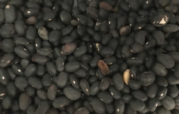 1576976190631802.jpg 1_副本.jpg