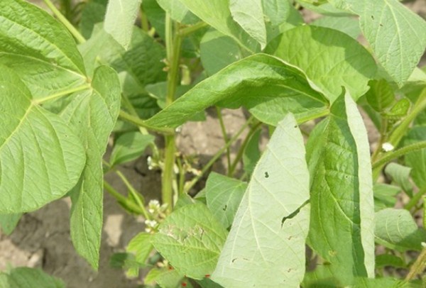 1576976197405209.jpg 2_副本.jpg