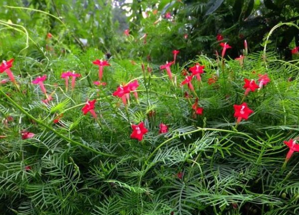 1577180974731655.jpg 2_副本.jpg