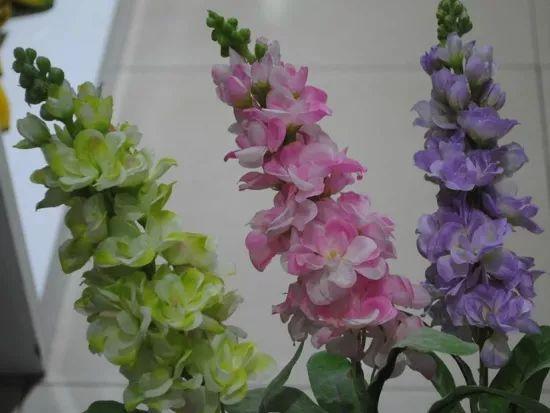 1590713670880800.jpg R6yMPq0CTbg1Bp.jpg