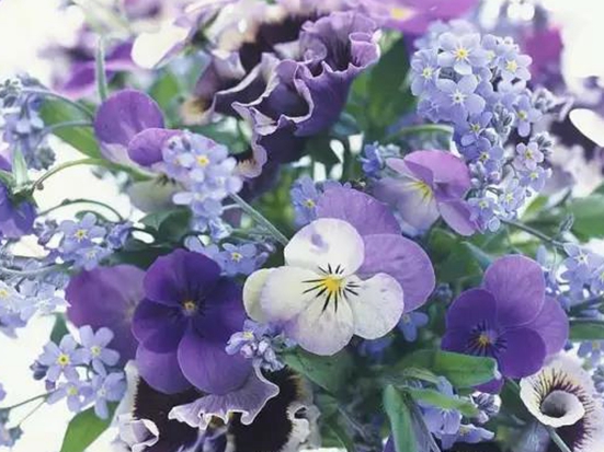 1590713677357241.jpg 微信圖片_20200518131553.jpg