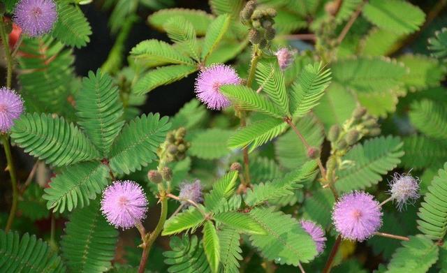 1590719207721792.jpg 1590719207721792.jpg