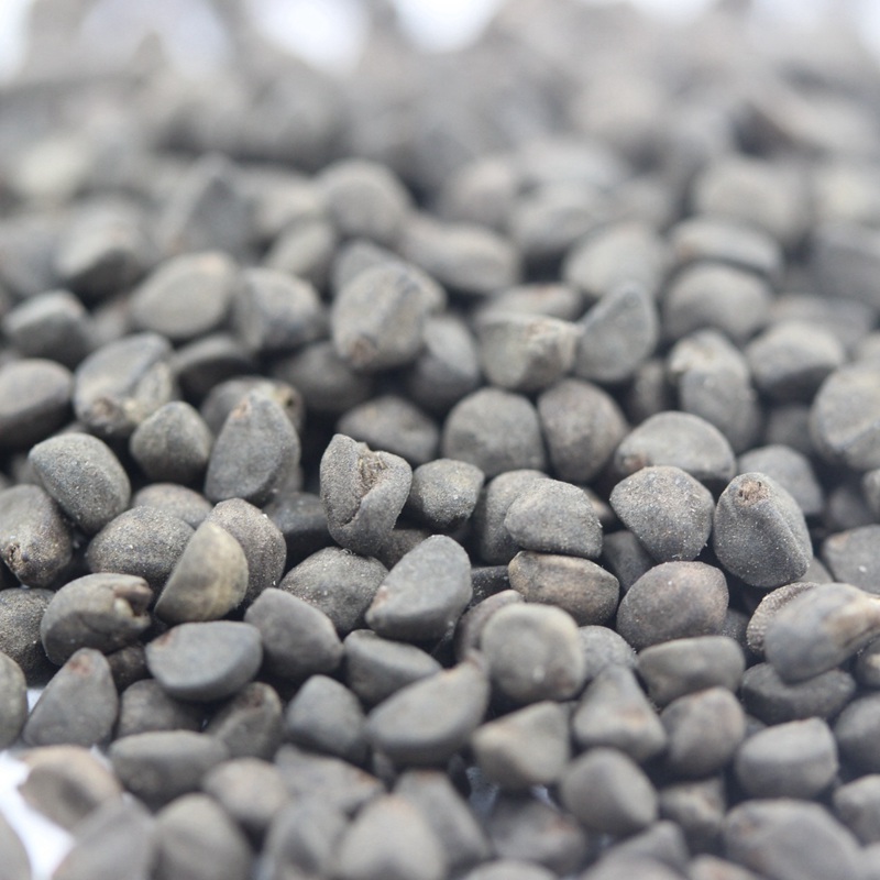 1590933086139897.jpg 鶯羅 (3).JPG