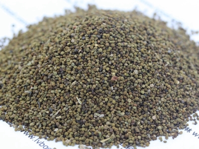 半枝蓮種子種植時間是什么時候？