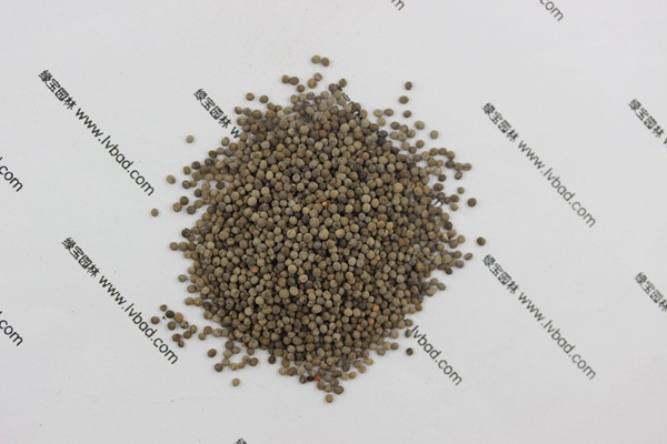 花菱草種子 花菱草種子