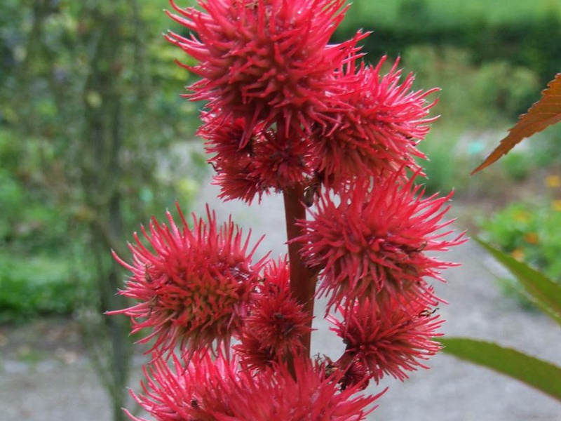 1592573521865866.jpg 4.jpg