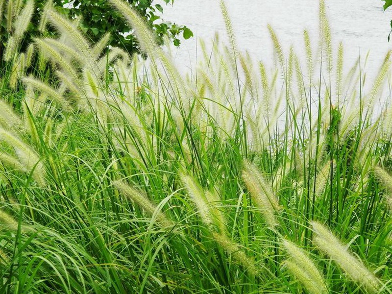 1596375645358888.jpg 8.jpg