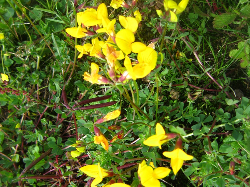 1597549477127653.jpg 5.jpg