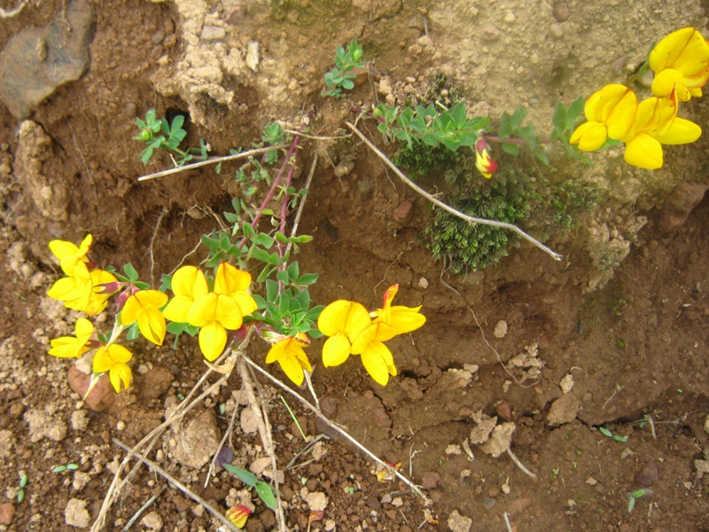 1597549480249668.jpg 4.jpg