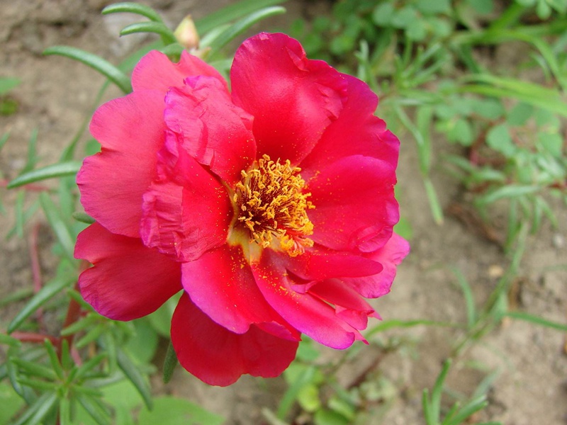 1598018082857211.jpg 5.jpg