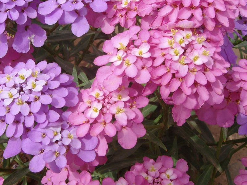 1598531544650778.jpg 1.jpg