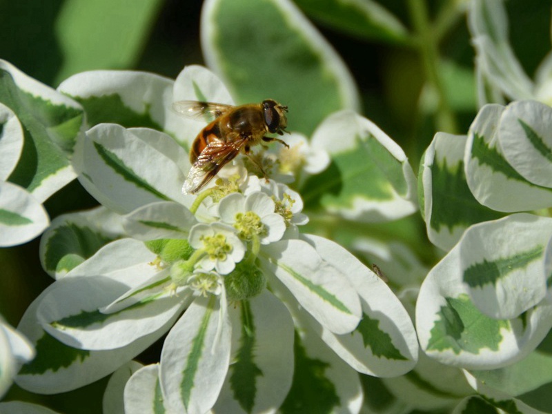 1598620775429563.jpg 15.jpg