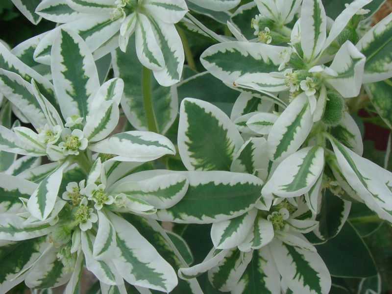 1598620781146958.jpg 2.jpg