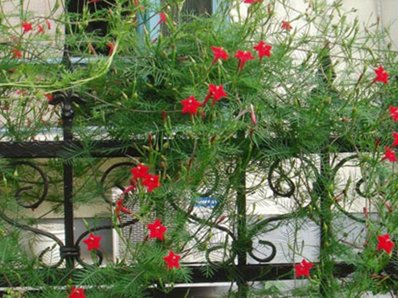 1598798047930174.jpg 6.jpg