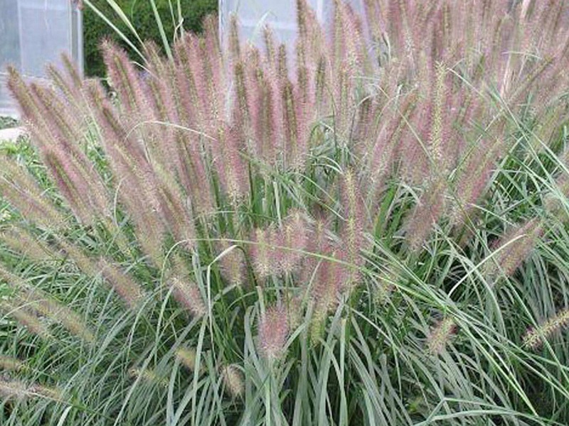 1599834217188072.jpg 4.jpg