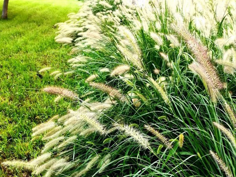 1599834221284826.jpg 10.jpg