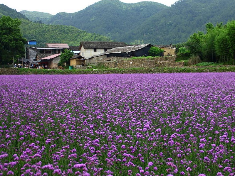 1600003855320048.jpg 9.jpg