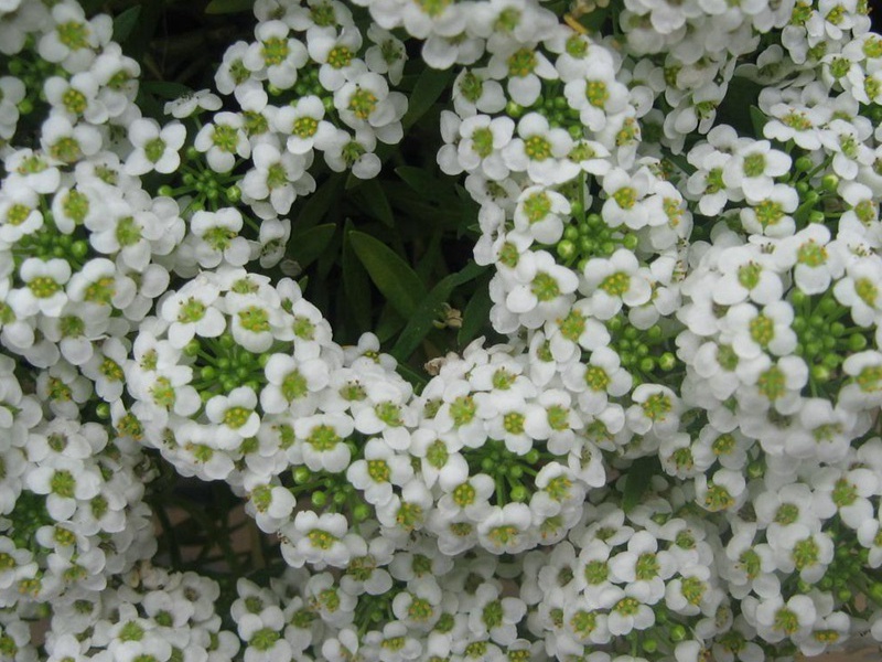 1600265177568016.jpg 8.jpg