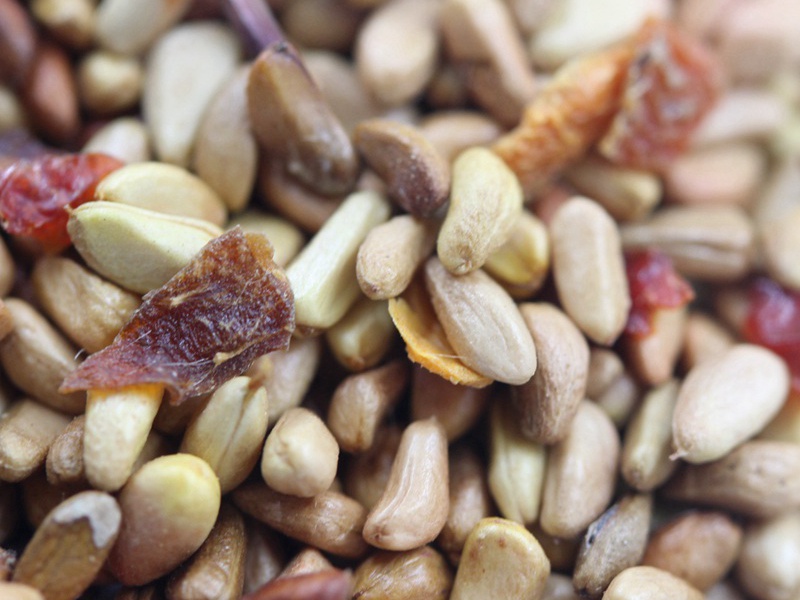 1600760126318166.jpg 紅刺玫 (3).JPG