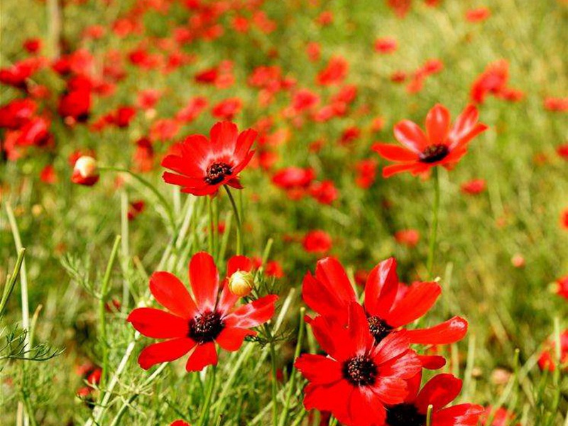 1600760272167792.jpg 2.jpg