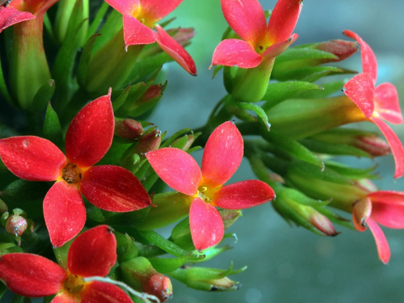 1600760283112165.jpg 3.jpg