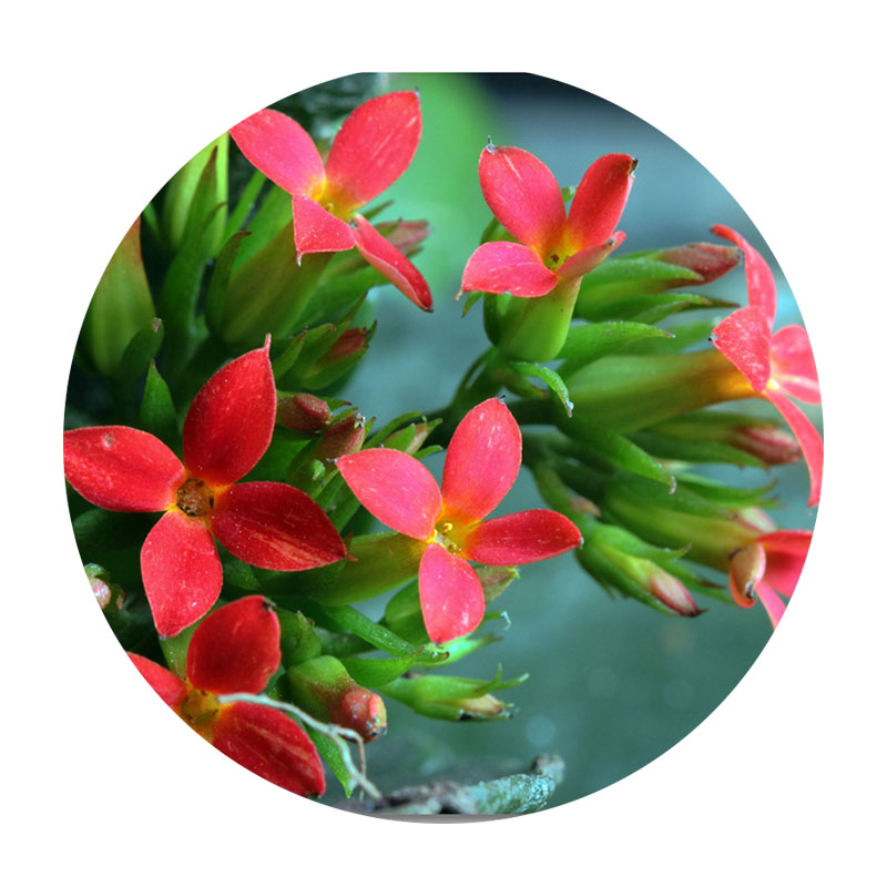 1600760292363711.jpg 50.jpg