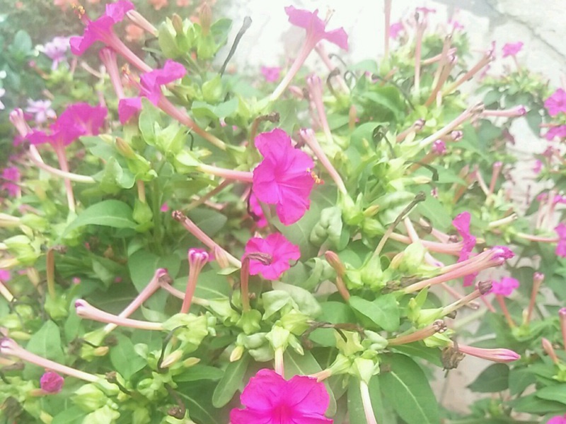 1600948573313530.jpg 1.jpg