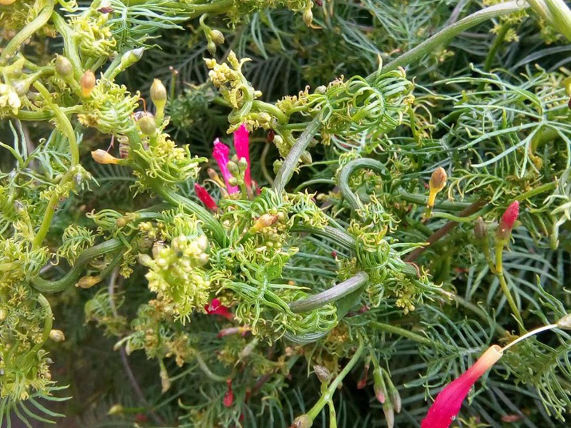 1601118113337571.jpg 4.jpg