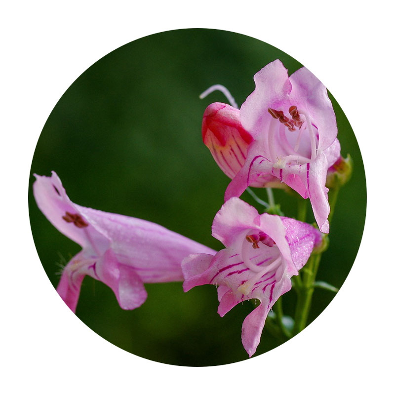 1601645654202441.jpg 50.jpg