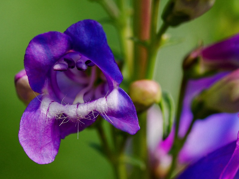 1601646587634749.jpg 2.jpg