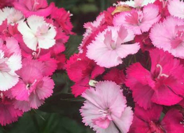 1629351352125180.jpg image.jpg