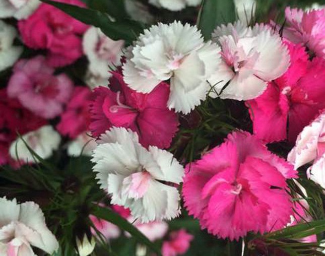 1629351368732799.jpg image.jpg