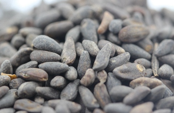 1629444591179366.jpg image.jpg