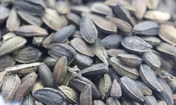 1629624396493767.jpg image.jpg