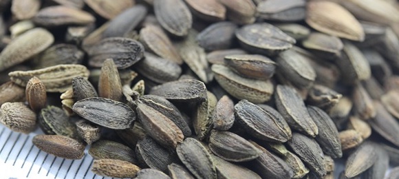 1629624414619037.jpg image.jpg