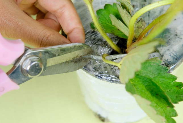 1630557612516728.jpg image.jpg