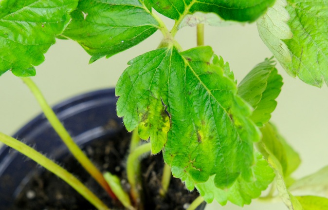 1630557617943412.jpg 1630557617943412.jpg