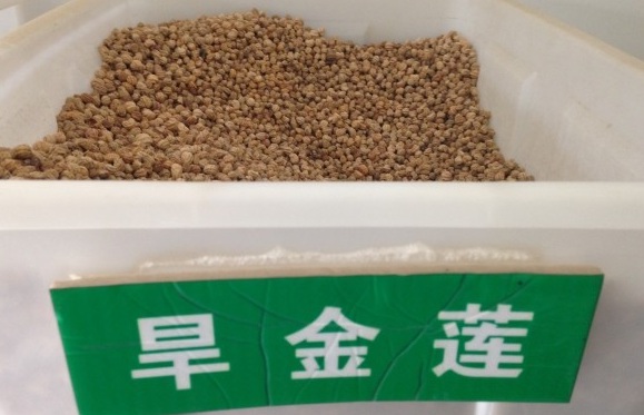 1630580378614709.jpg image.jpg