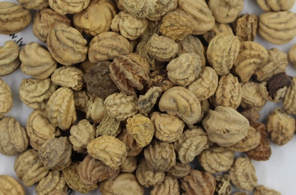 1630580384647411.jpg image.jpg