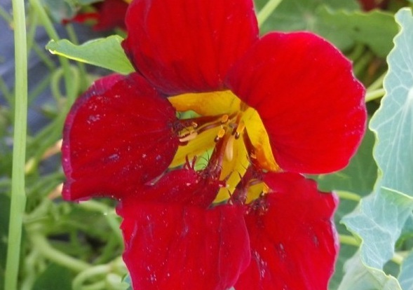 1630580390359079.jpg image.jpg