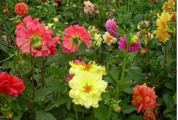 1630733060459767.jpg image.jpg